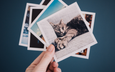 Should You Apply the KonMari Method for Your Printed Photos?