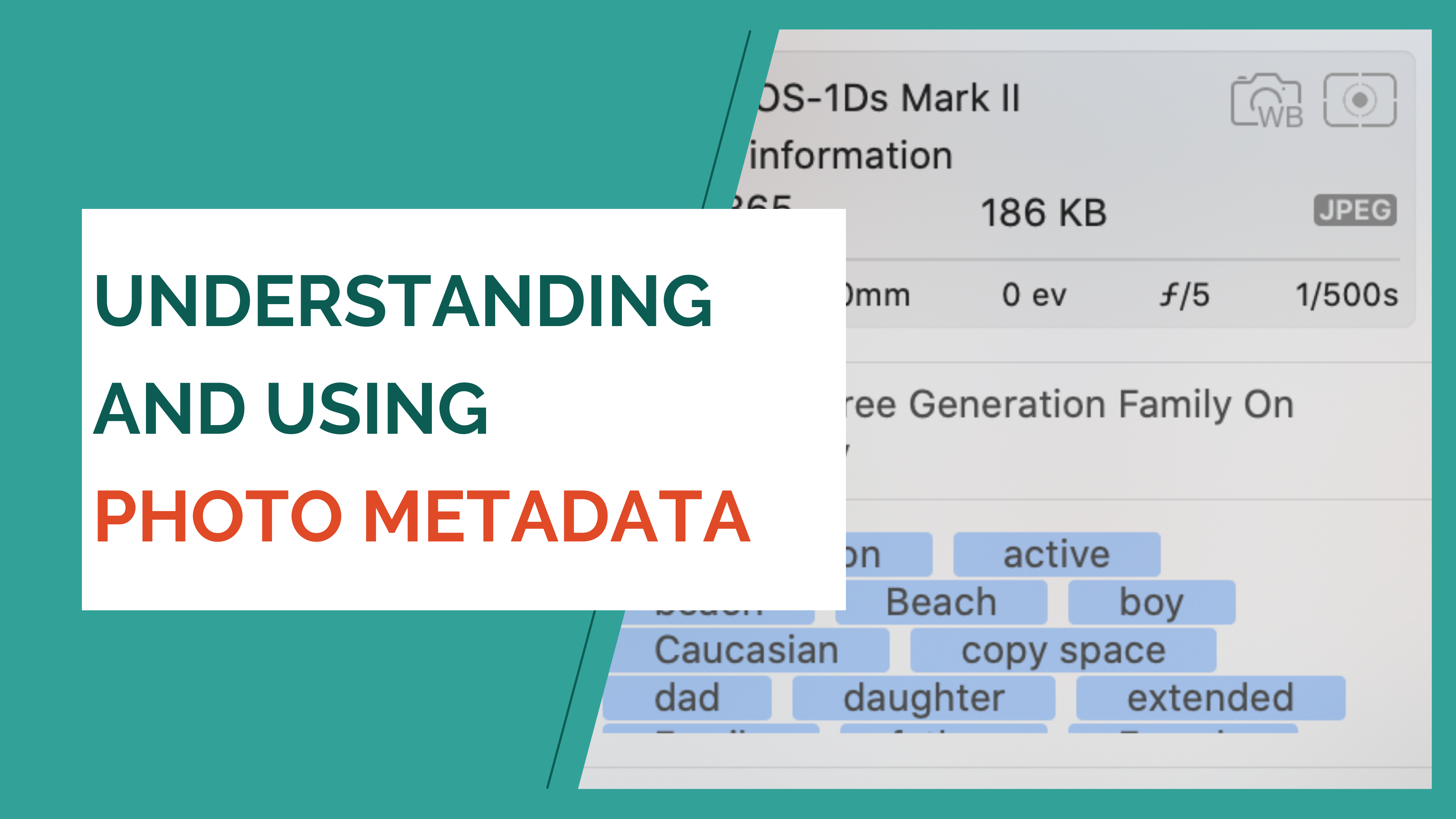 Understanding photo metadata
