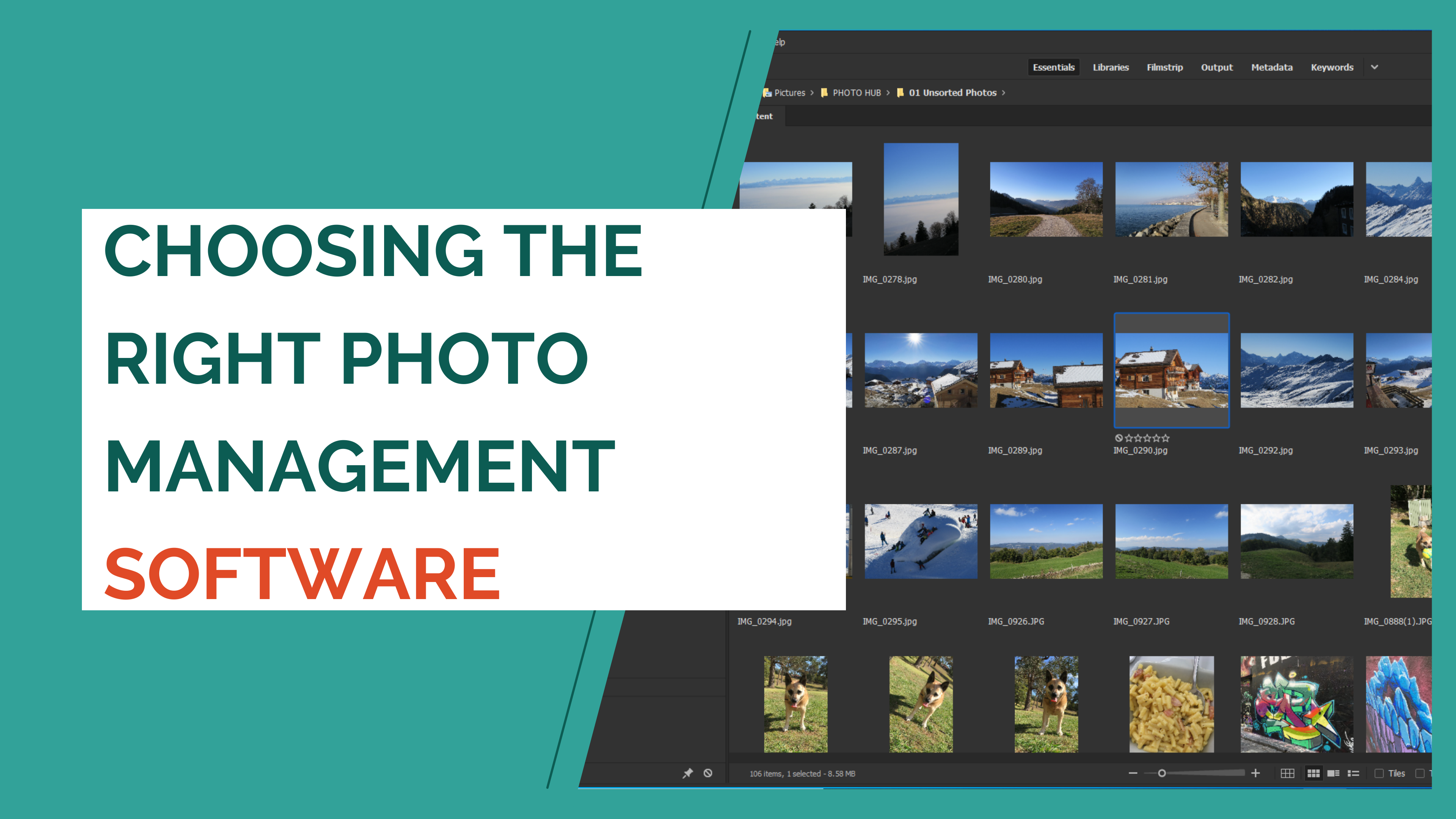 Choosing the right photo management software
